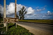 31st Oct 2011 - The scenic route