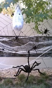 31st Oct 2011 - Halloween at the Office