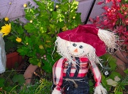 1st Oct 2011 - Harvest Scarecrow
