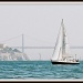 Sausalito by madamelucy
