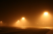 1st Nov 2011 - Heavy fog
