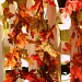 Falling Leaves by lisaconrad