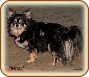 2nd Nov 2011 - Mitsy