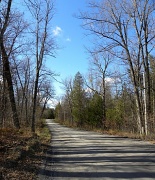 2nd Nov 2011 - Country Roads