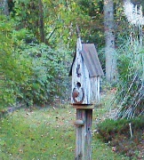 2nd Nov 2011 - Bird House