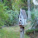 Bird House by grammyn