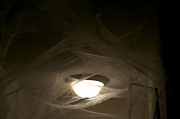 24th Oct 2011 - Decorating for Halloween!!