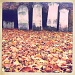 Autumn in the Graveyard by andycoleborn
