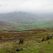 Great Langdale [2]  - The English Lake District by netkonnexion