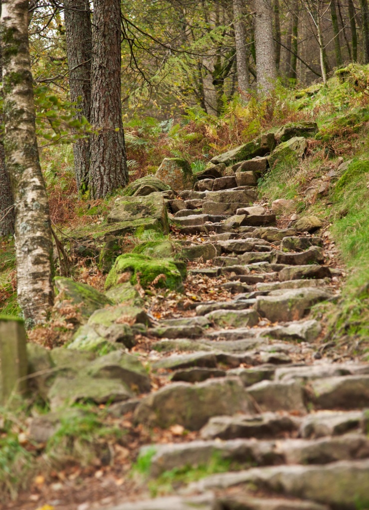 Fairy Steps - The English Lake District by netkonnexion
