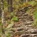 Fairy Steps - The English Lake District by netkonnexion