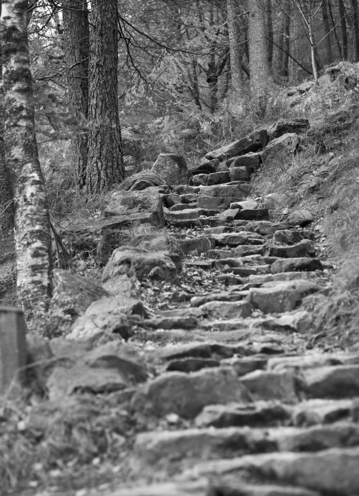 FairySteps - The English Lake District by netkonnexion