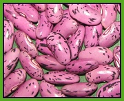 3rd Nov 2011 - Dem beans dem beans dem ... dry beans!