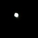 The Moon 11.3.11 by sfeldphotos