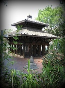 4th Nov 2011 - Napalese Temple of Peace