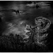 Escher's Landing  by pixelchix