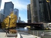 4th Nov 2011 - Along the Chicago River