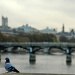 Pigeon's view by parisouailleurs