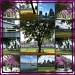 Soutbank - Brisbane by loey5150