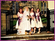 5th Nov 2011 - Four legged bridesmaid.