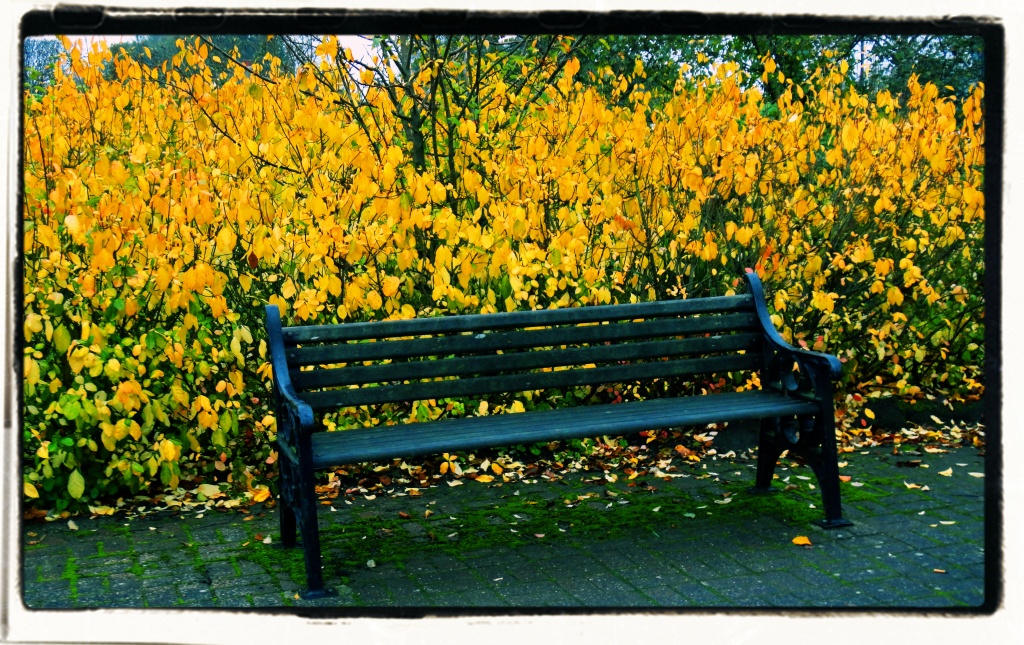 Autumn Bench by itsonlyart