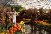 3rd Nov 2011 - Autumn at Phipps Conservatory