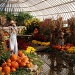 Autumn at Phipps Conservatory by graceratliff