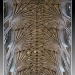 Norwich Cathedral vaulted ceilings by judithdeacon