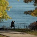 Photographer at Charles Daley Park - beautiful sunny day by jayberg