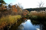 5th Nov 2011 - Marsh Walk