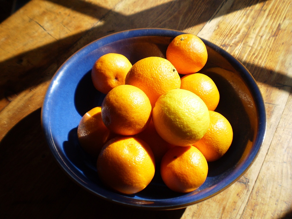 Oranges in a blue bowl. by snowy
