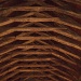 Medieval trussed rafter roof.  by snowy