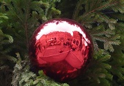 6th Nov 2011 - Covent Garden in a bauble