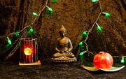 6th Nov 2011 - Buddha's Feast