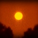 Sun Flare by grammyn