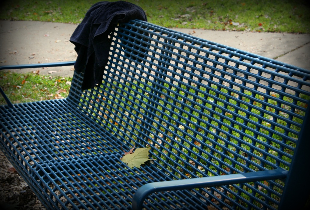 Empty bench by mittens