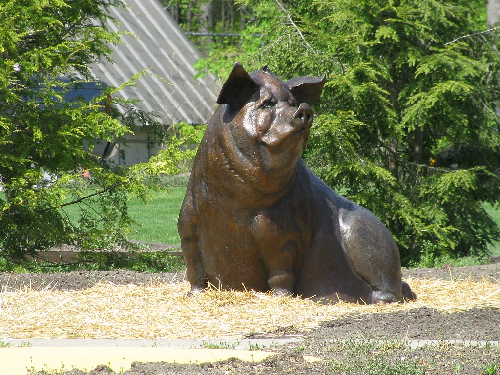 Bronze pig by rrt