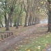 Autumn Walk by rosiekind