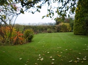 7th Nov 2011 - Autumn garden. 