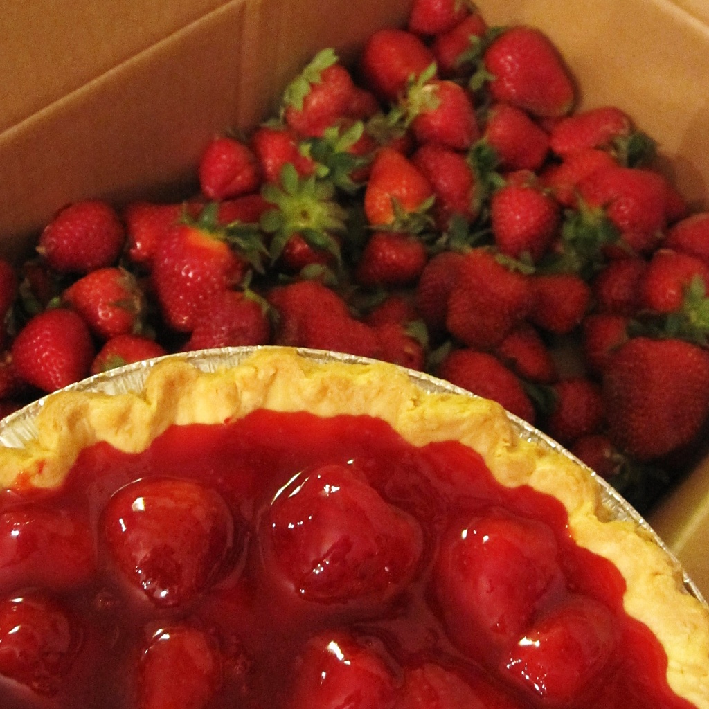 May 5. CSA strawberries! by margonaut