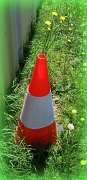 8th Nov 2011 - The Plastic  Urban Vase