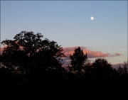 8th Nov 2011 - Sunset Moon