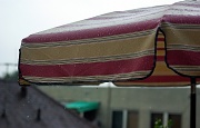 4th Nov 2011 - Patio Umbrella in the Rain