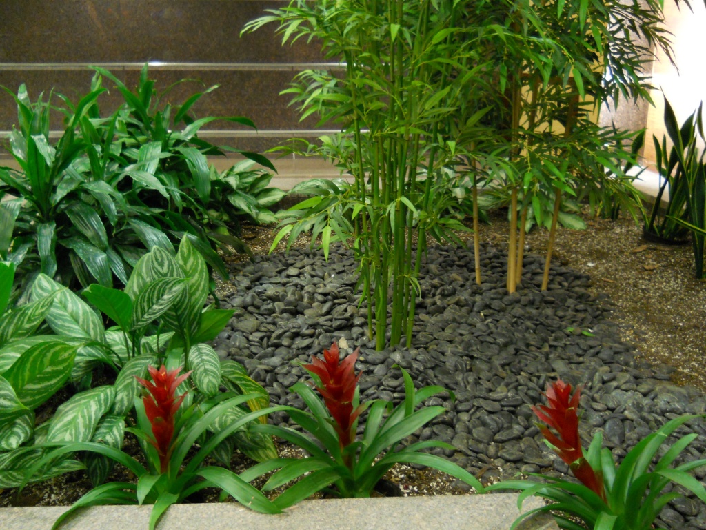 Bromeliads and bamboo in the lobby at work by kchuk