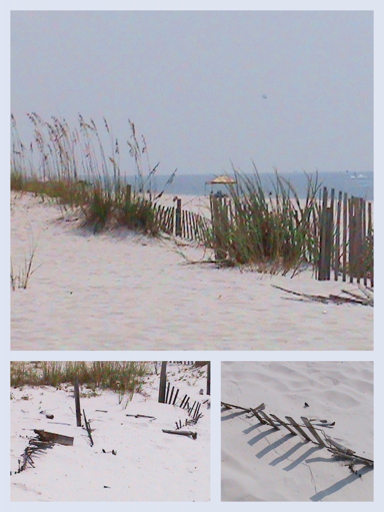 Beach Patterns by grammyn