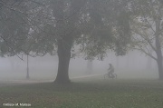 9th Nov 2011 - Morning Fog on the Guilford Green