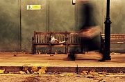 9th Nov 2011 - The Walbrook Bench