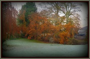 9th Nov 2011 - frosty morning 