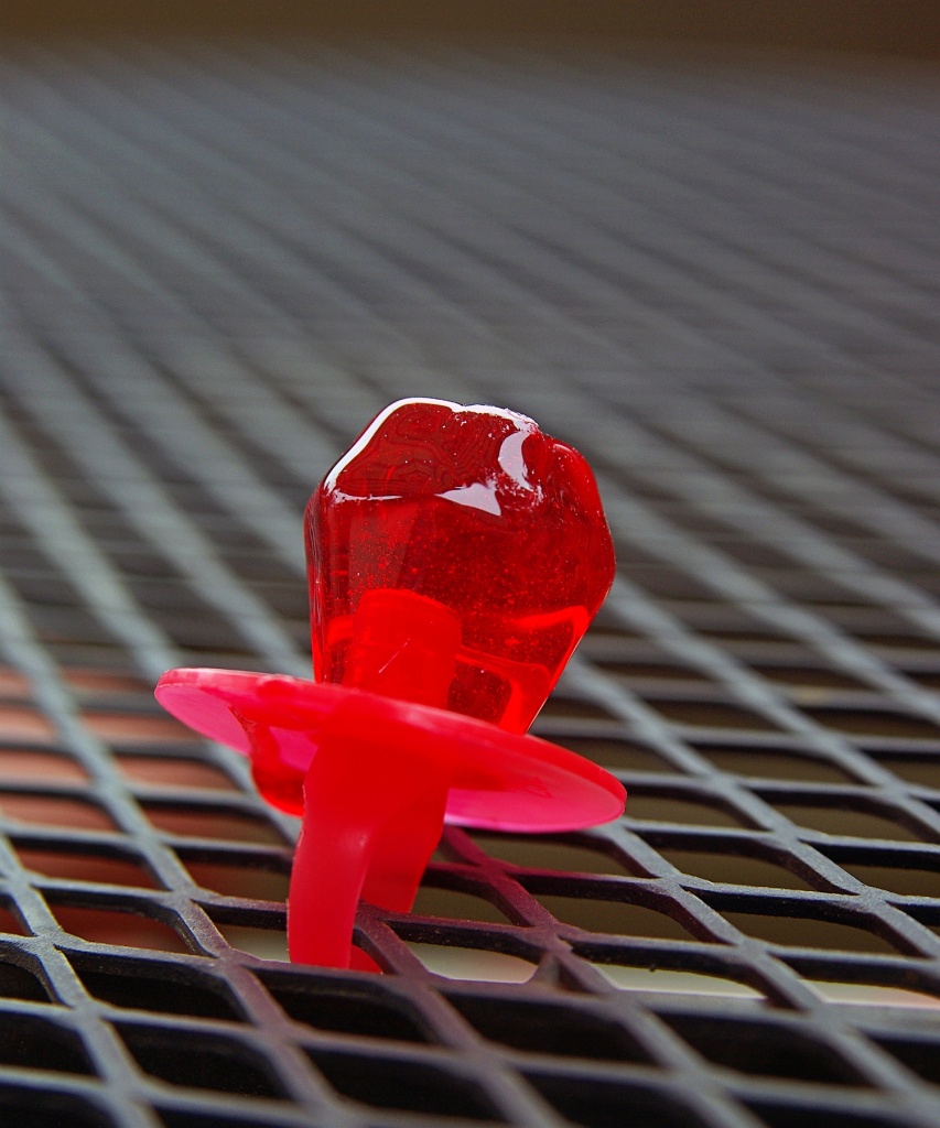 Ruby Ring by cjphoto