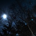 The moon and the stars and the trees by egad